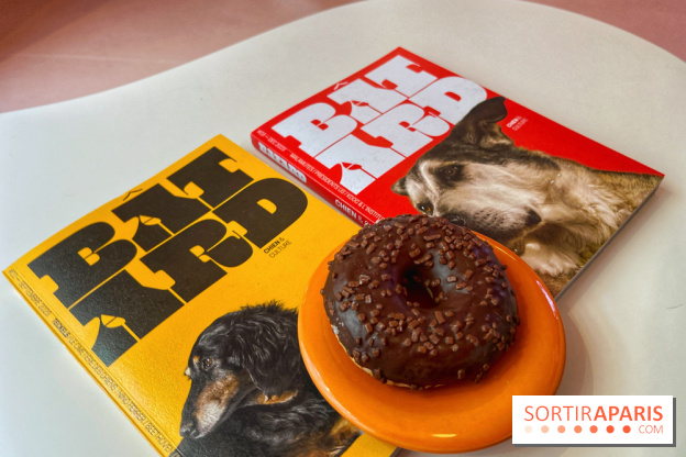 Casa del Doggo - IMG 1628