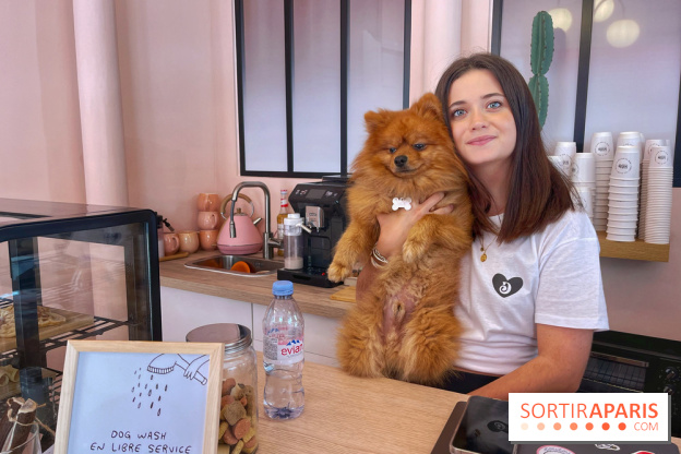 Casa del Doggo - IMG 1633