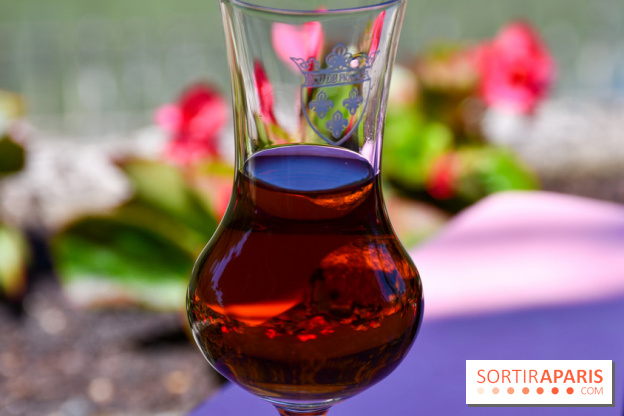 L'Écu de France, un restaurant gastronomique en bord de Marne - DSC 1465