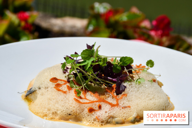 L'Écu de France, un restaurant gastronomique en bord de Marne - DSC 1491