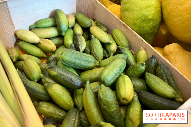 Lemon Story - Agrumes