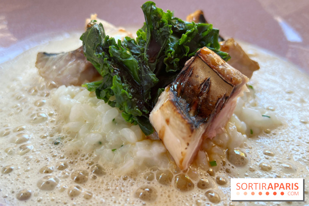 Petit Boutary - Risotto, chou kale, maquereau flambé
