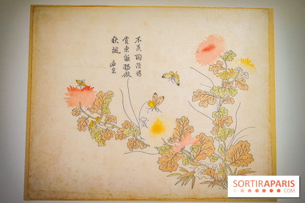 Au cœur de la couleur : l'exposition autour de la porcelaine de Chine au musée Guimet - nos photos