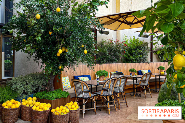 Limonaia Urbana - masterclasses et dégustations à l'italienne au Café de l'Homme - image00008