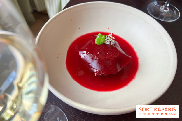 Matka - Bortsch glacé