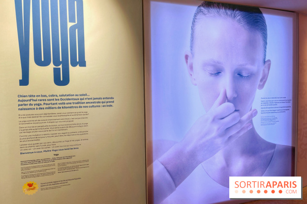 Maitre Yoga - IMG 1867