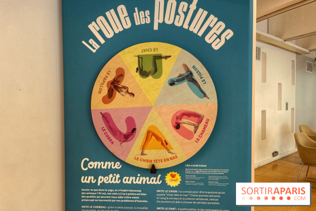 Maitre Yoga - IMG 1868