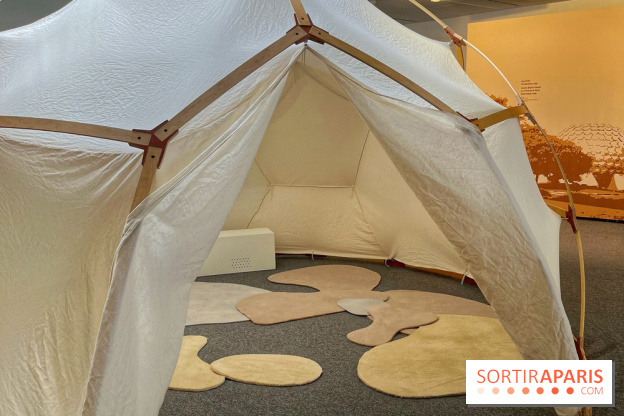 Maitre Yoga - IMG 4333