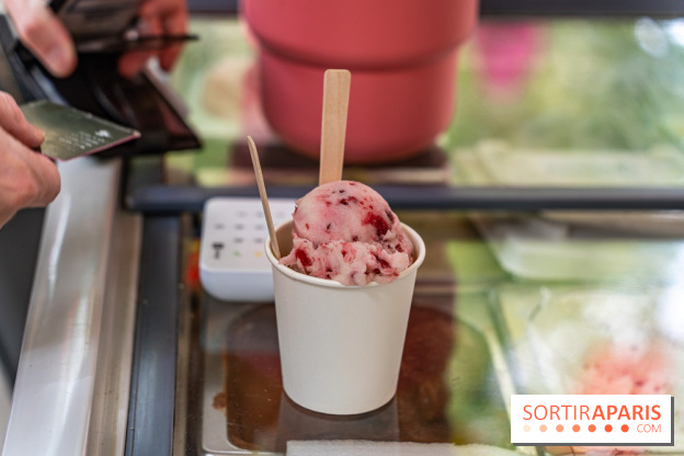 Ici Vietnam Festival à Paris - photos  -  A7C6983