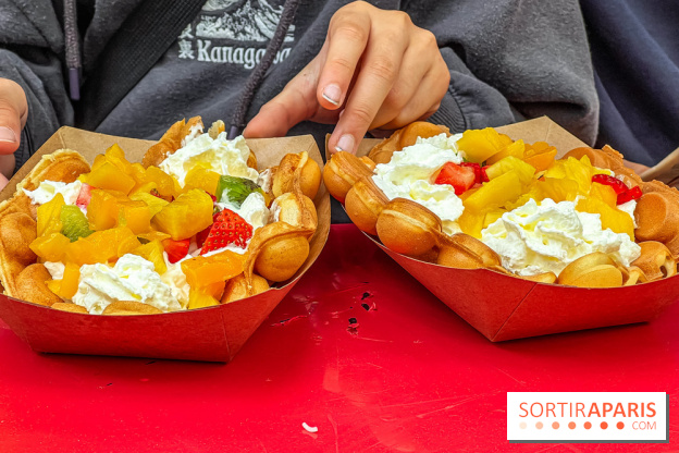 Ici Vietnam Festival à Paris - photos  - IMG 0102