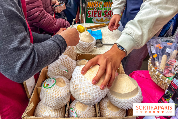 Ici Vietnam Festival à Paris - photos