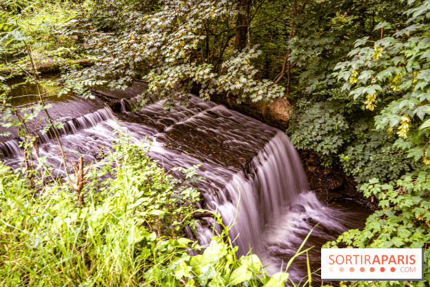 Le restaurant du Petit Moulin des Vaux de Cernay - Oléum Papa, le restaurant culturel -  A7C7083
