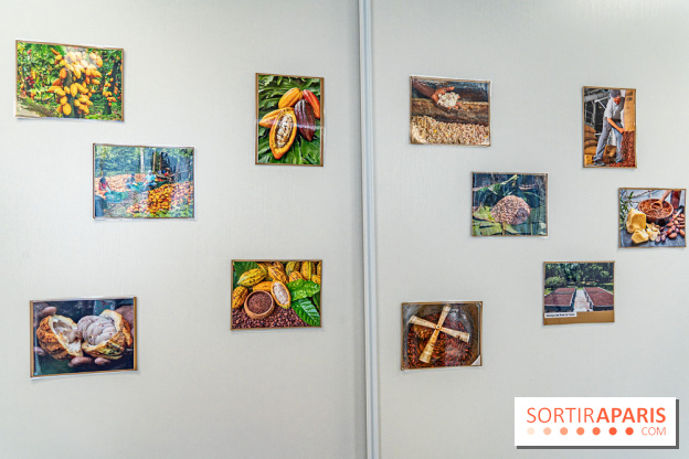 Läderach Opéra, la boutique de chocolats suisse  -  A7C6264