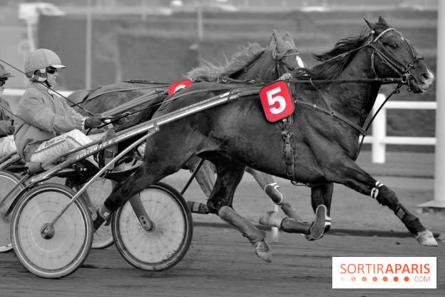 Les Courses spectacle de l'Hippodrome Paris-Vincennes