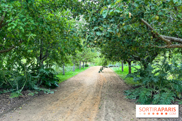 Potager-Fruitier de la Roche Guyon - nos photos - image00031