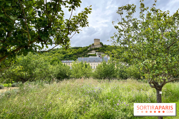 Potager-Fruitier de la Roche Guyon - nos photos - image00027