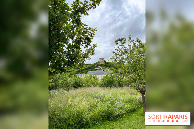 Potager-Fruitier de la Roche Guyon - nos photos - image00028