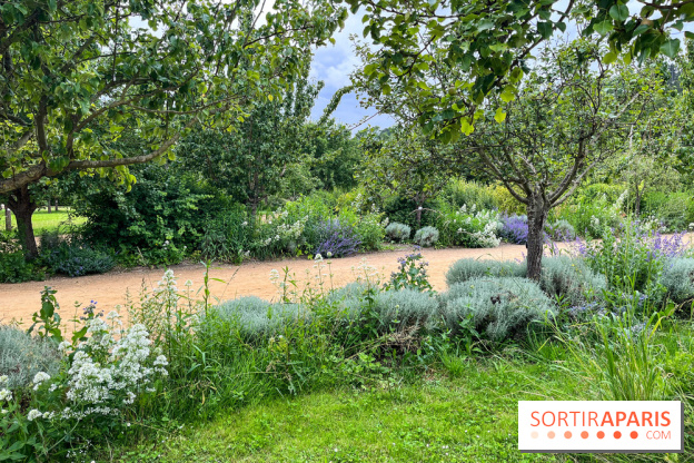 Potager-Fruitier de la Roche Guyon - nos photos - image00026