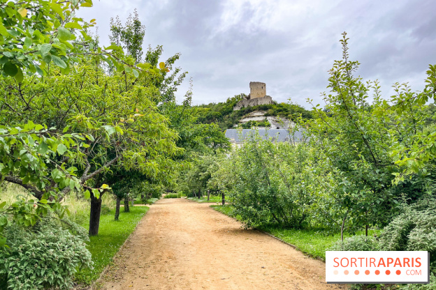 Potager-Fruitier de la Roche Guyon - nos photos - image00020
