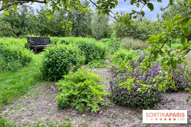 Potager-Fruitier de la Roche Guyon - nos photos - image00017