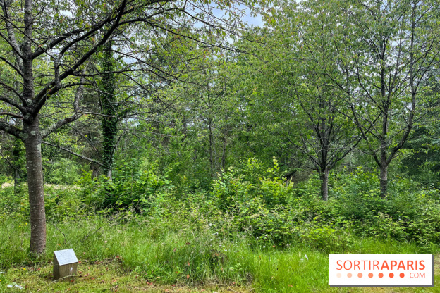 Arboretum de la Roche-Guyon - nos photos - image00015
