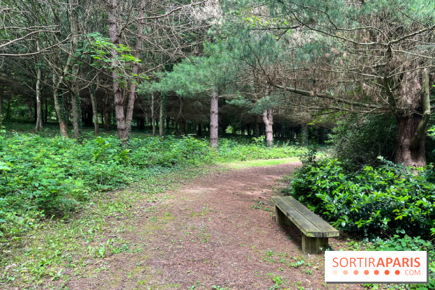 Arboretum de la Roche-Guyon - nos photos - image00016