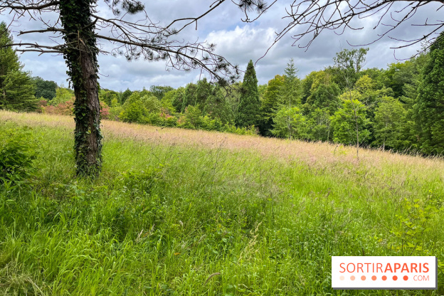 Arboretum de la Roche-Guyon - nos photos - image00010