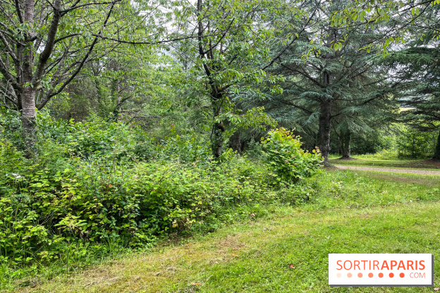 Arboretum de la Roche-Guyon - nos photos - image00011