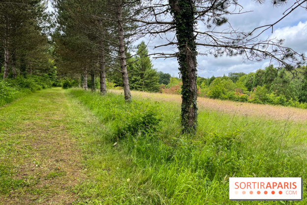 Arboretum de la Roche-Guyon - nos photos - image00008