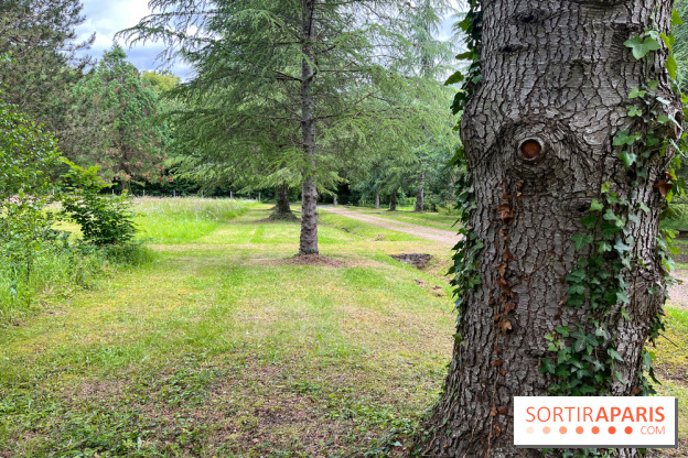 Arboretum de la Roche-Guyon - nos photos