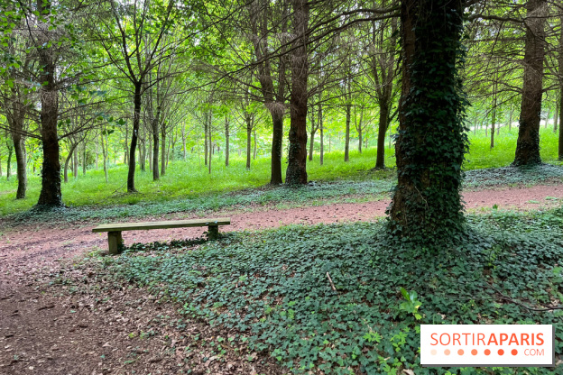 Arboretum de la Roche-Guyon - nos photos - image00003