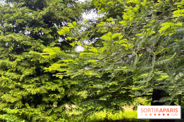 Arboretum de la Roche-Guyon - nos photos - image00005