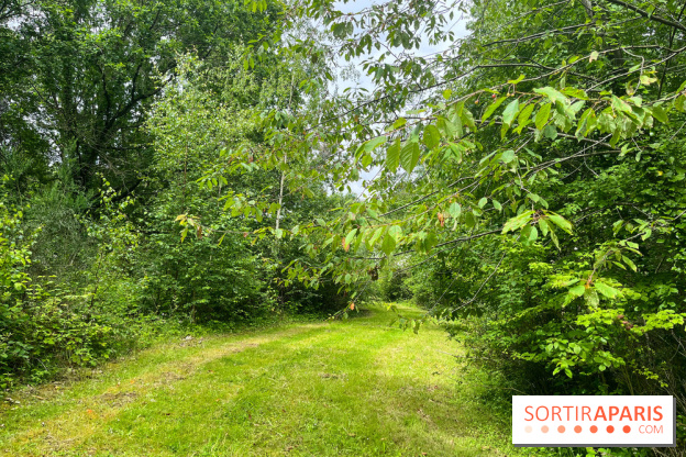 L'arboretum de la Roche-Guyon (95), le jardin ouvert qui réunit les ...