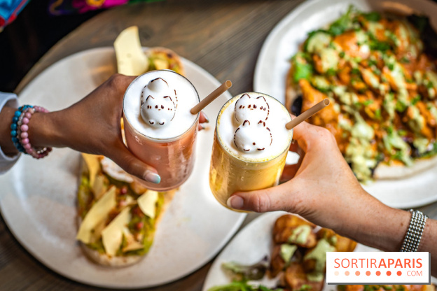 Brunch indien à Paris par Baranaan et Pingwoo -  lassis rose et mangue