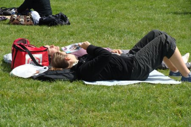 Dimanches au galop
France Galop