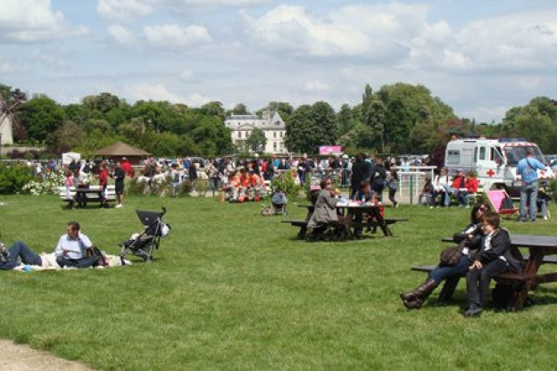 Dimanches au galop
France Galop