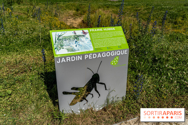 Le Parc du peuple de l'herbe dans les Yvelines - Étang de Galiotte - Carrières-sous-Poissy
