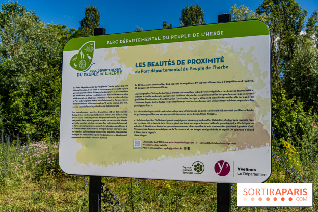 Le Parc du peuple de l'herbe dans les Yvelines - Étang de Galiotte - Carrières-sous-Poissy