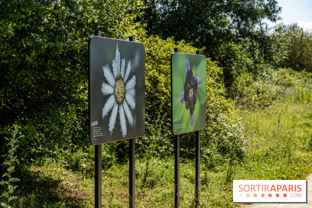 Le Parc du peuple de l'herbe dans les Yvelines - Étang de Galiotte - Carrières-sous-Poissy