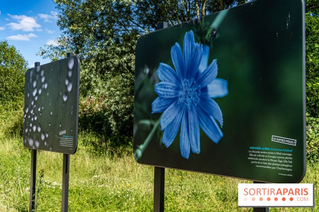 Le Parc du peuple de l'herbe dans les Yvelines - Étang de Galiotte - Carrières-sous-Poissy