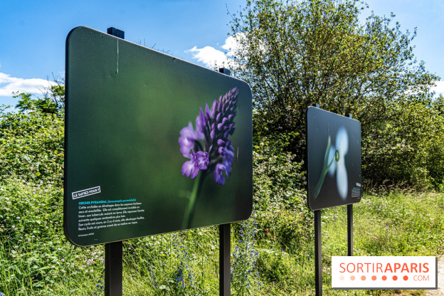 Le Parc du peuple de l'herbe dans les Yvelines - Étang de Galiotte - Carrières-sous-Poissy