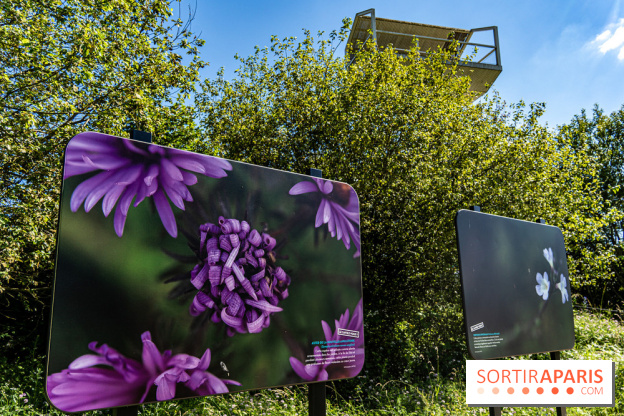 Le Parc du peuple de l'herbe dans les Yvelines - Étang de Galiotte - Carrières-sous-Poissy -  A7C7493