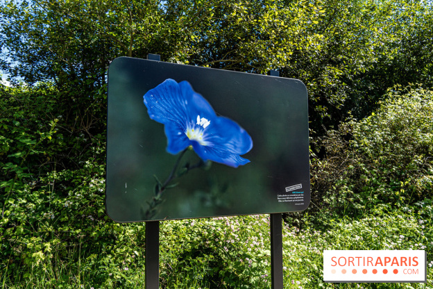 Le Parc du peuple de l'herbe dans les Yvelines - Étang de Galiotte - Carrières-sous-Poissy