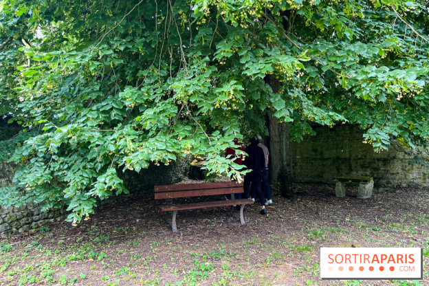 Le Jardin du Yoga à la Roche-Guyon - nos photos - image00005