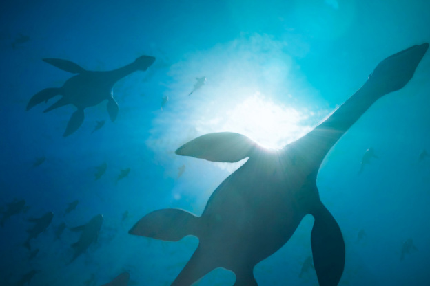 Campagne #33483 - Mondes Disparus In game Jurassique © Excurio MNHN