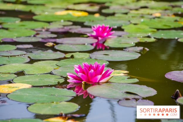 Hellfest 2024 - jeudi 27 juin, nos photos - IMGP3307
