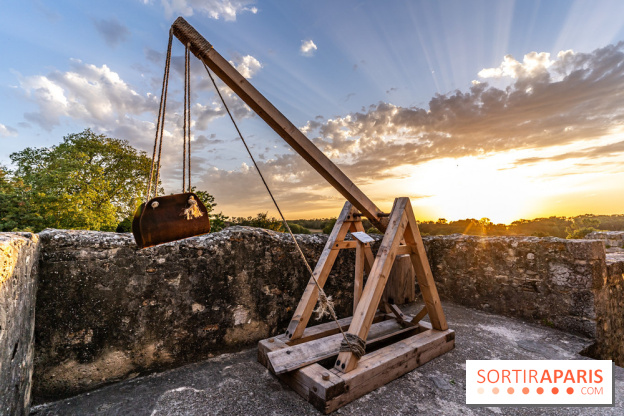 Lumières de Blandy : l'héritage des vicomtes, le spectacle sons et lumières -  A7C7973