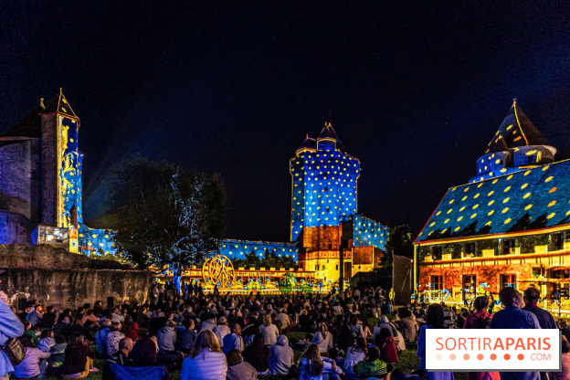 Lumières de Blandy : l'héritage des vicomtes, le spectacle sons et lumières -  A7C8121