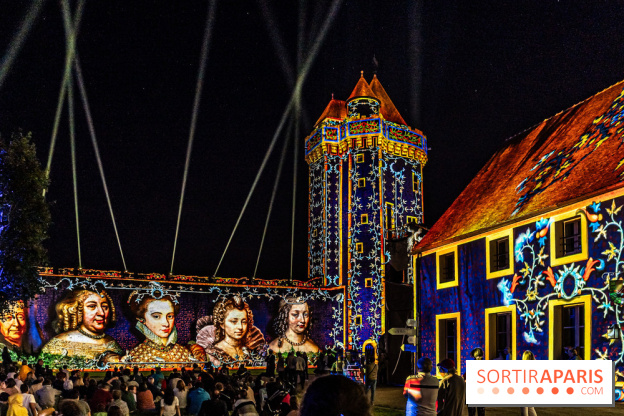 Lumières de Blandy : l'héritage des vicomtes, le spectacle sons et lumières -  A7C8178