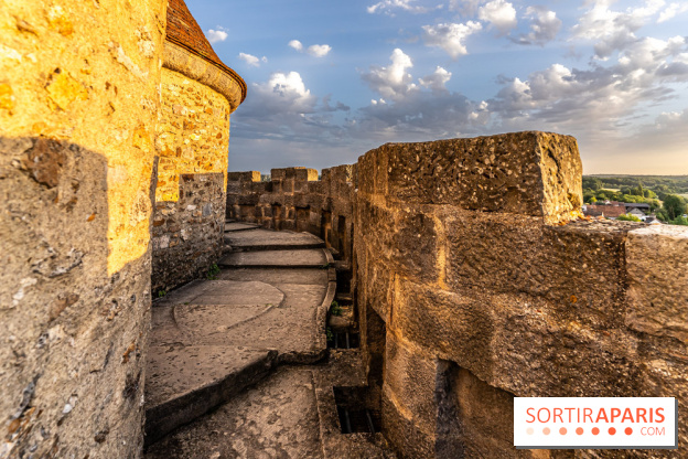 Le Château de Blandy-les-Tours en Seine-et-Marne (77), nos photos -  A7C7965